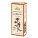 BYLINNÉ KAPKY ECHINACEA 50 ml